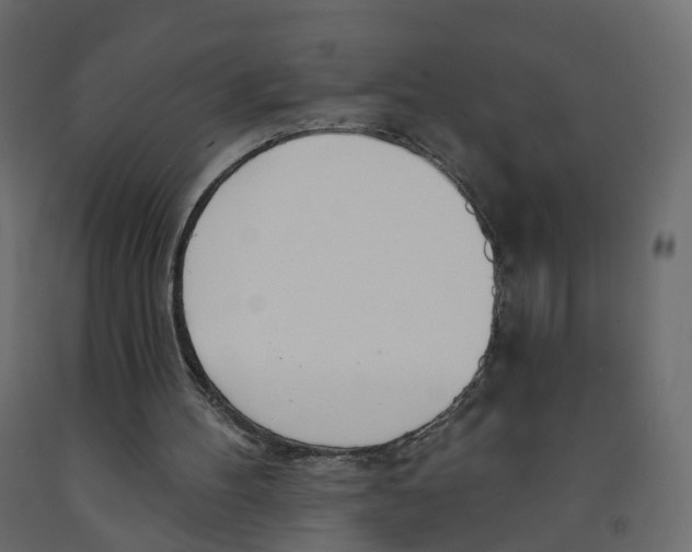 X0000091990100200710041138