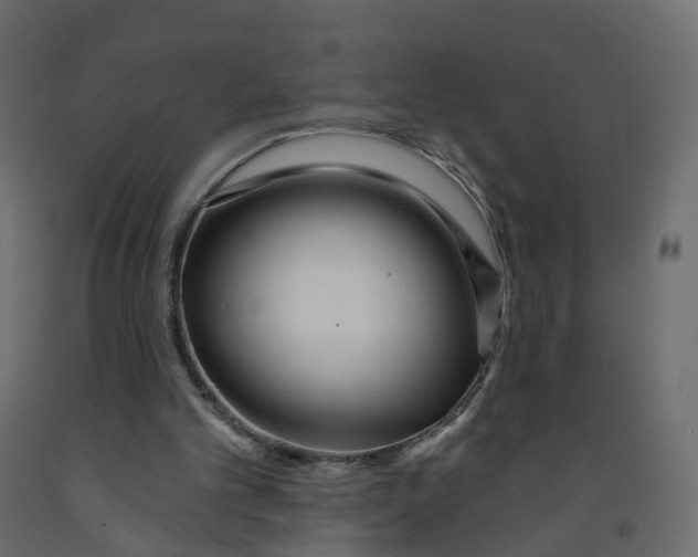 X0000091990101200710041138