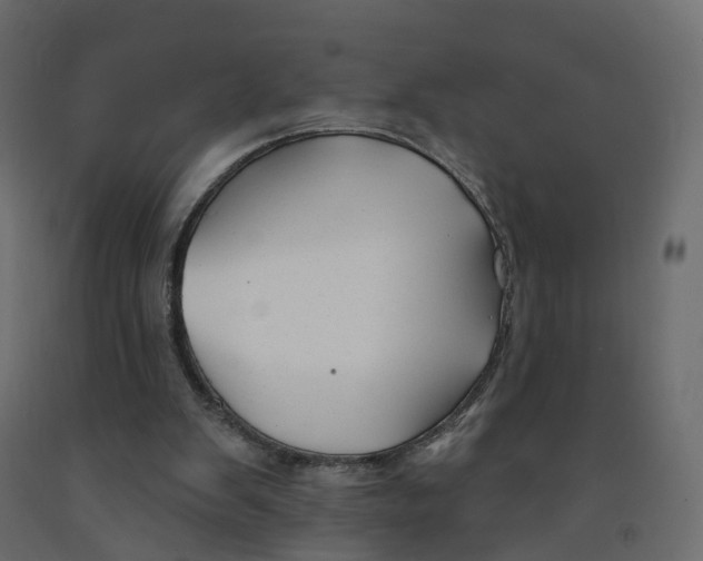 X0000091990103200710041138