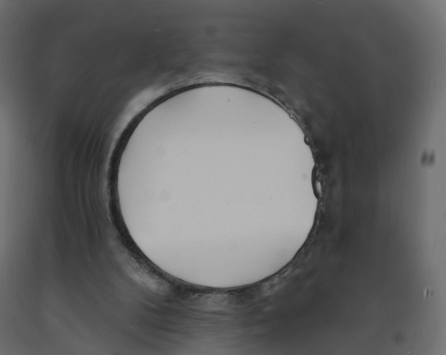X0000091990104200710041138