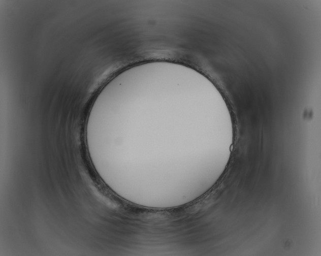 X0000091990106200710041137