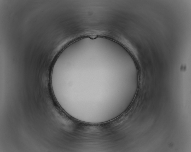 X0000091990107200710041137
