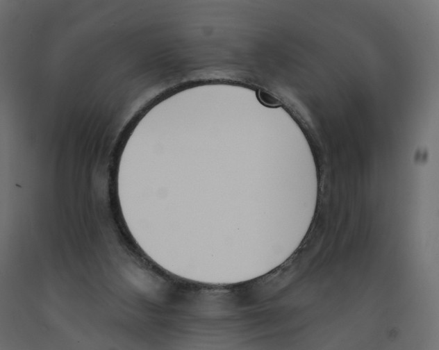 X0000091990108200710041137