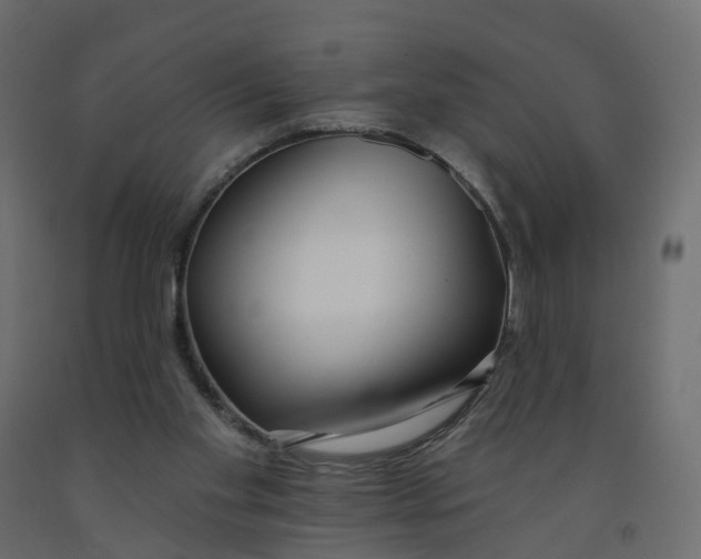 X0000091990109200710041137