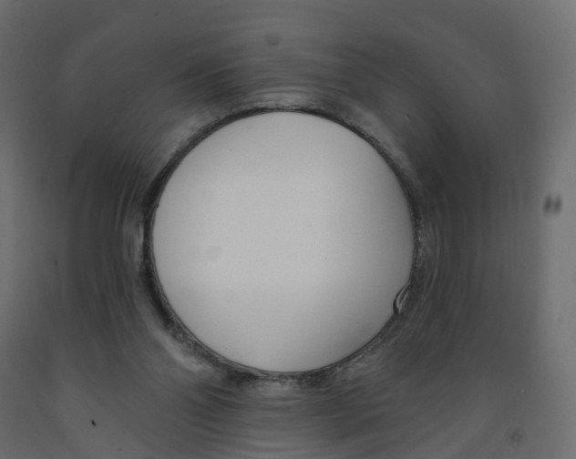 X0000091990110200710041137