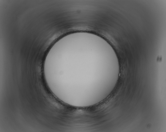 X0000091990111200710041137
