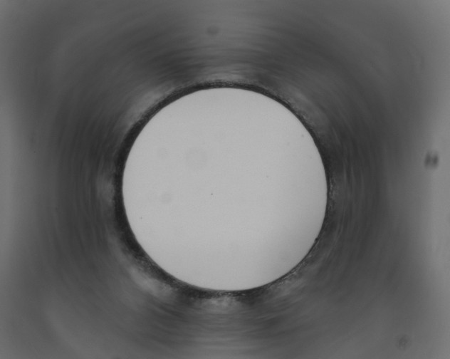X0000091990112200710041137