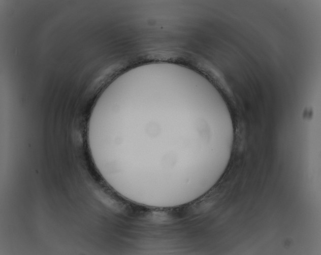 X0000091990114200710041137