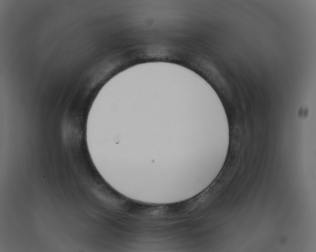 X0000091990116200710041137
