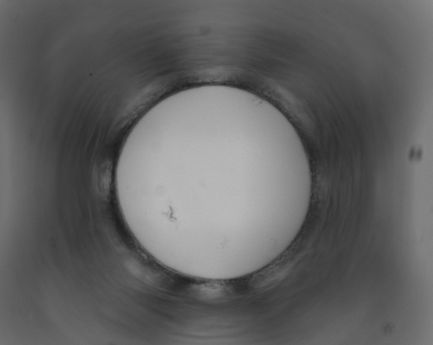 X0000091990118200710041137