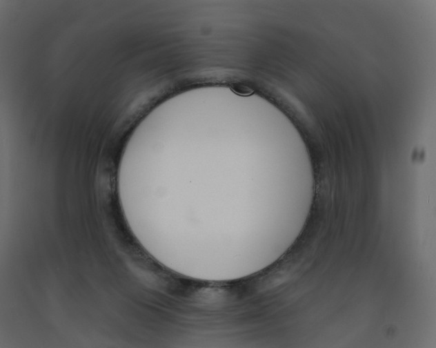 X0000091990119200710041137