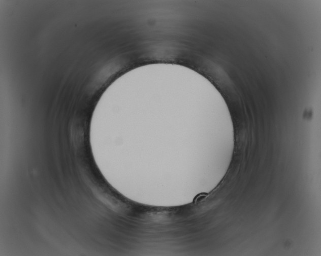X0000091990120200710041137