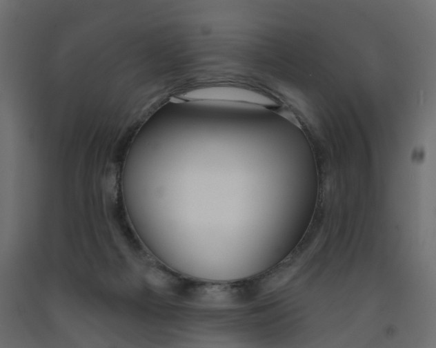 X0000091990121200710041137