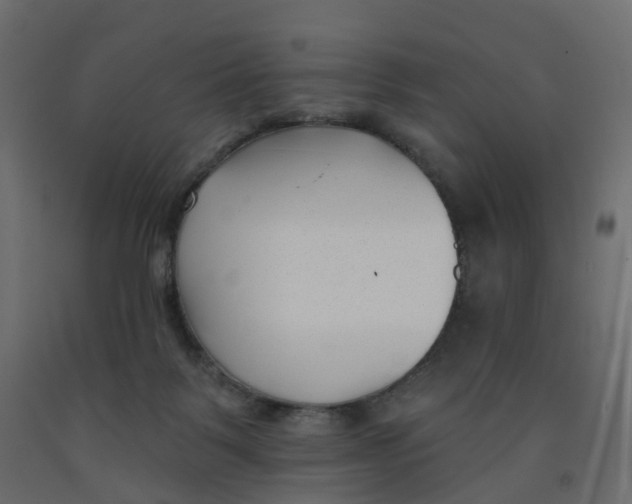 X0000091990123200710041137