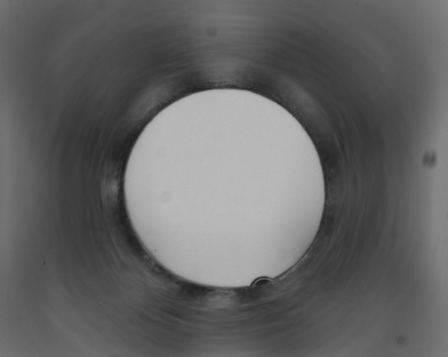 X0000091990124200710041137