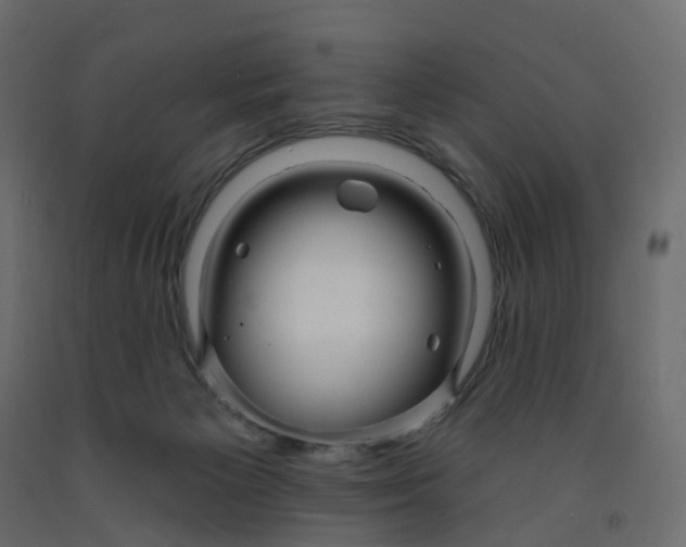 X0000091990125200710041137