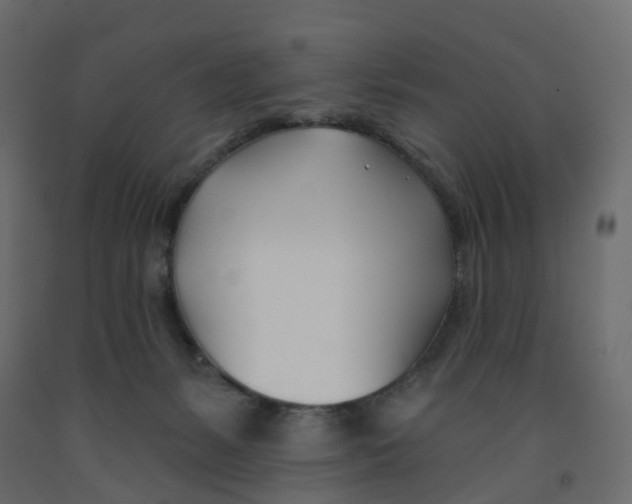 X0000091990127200710041137