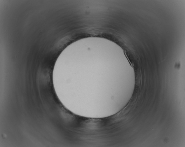X0000091990128200710041137
