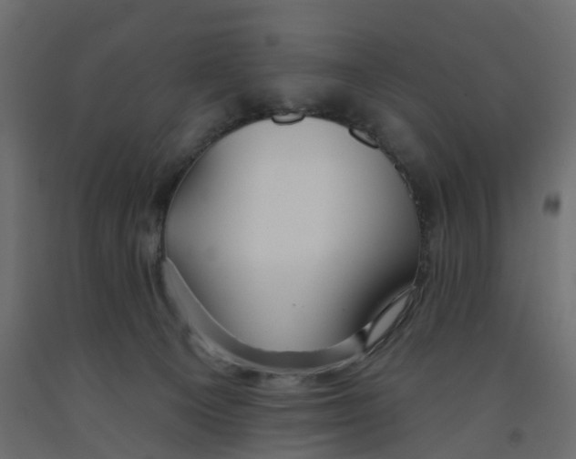 X0000091990129200710041137