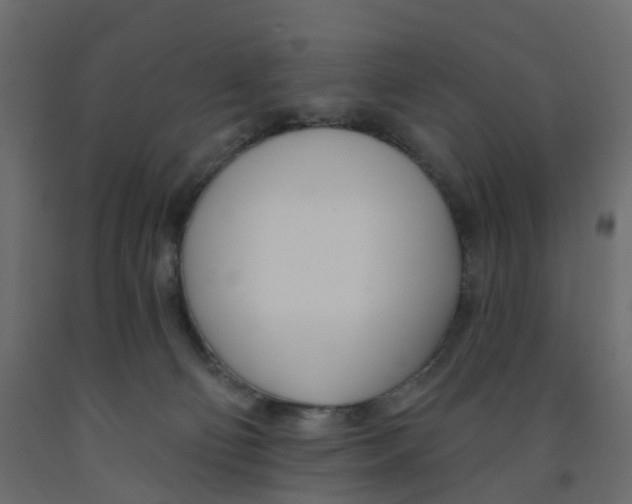 X0000091990130200710041137