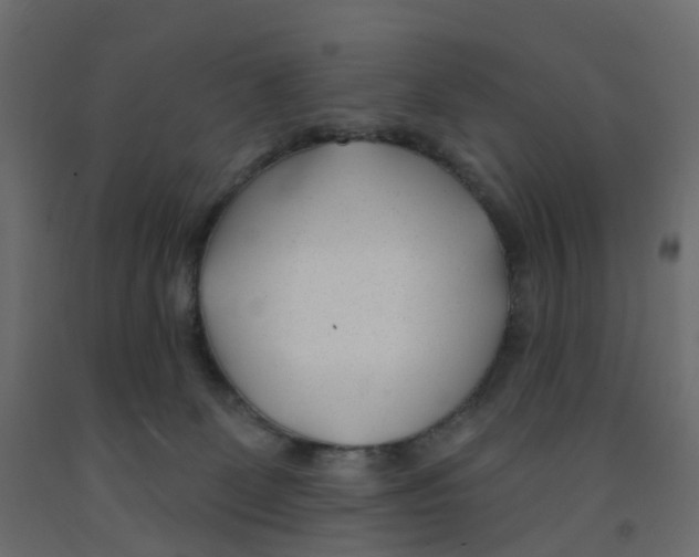 X0000091990131200710041137