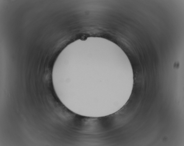 X0000091990132200710041137