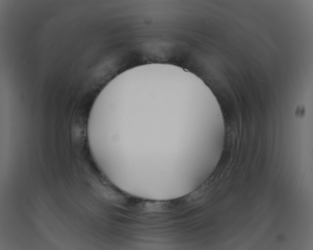 X0000091990134200710041137