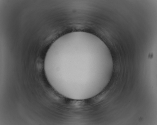 X0000091990135200710041137