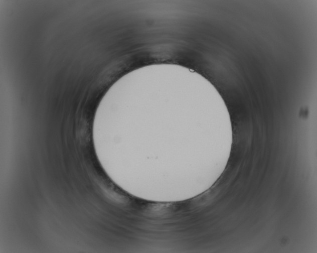 X0000091990136200710041137