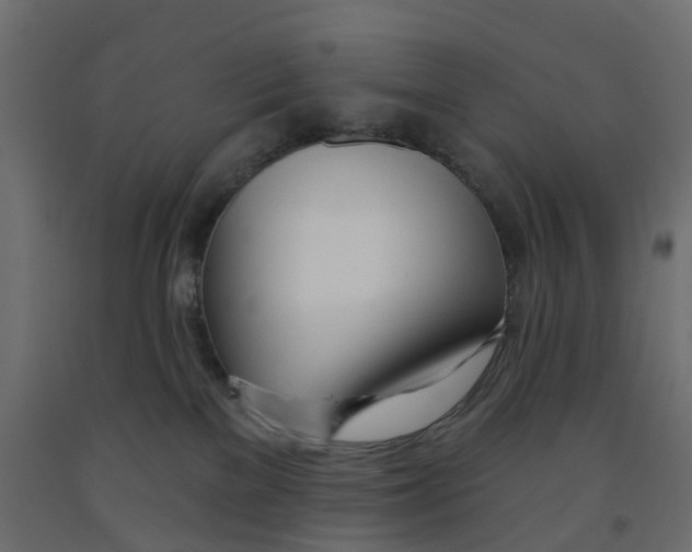 X0000091990137200710041137