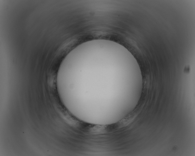 X0000091990138200710041137