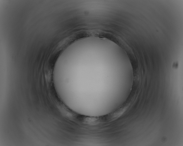 X0000091990139200710041137