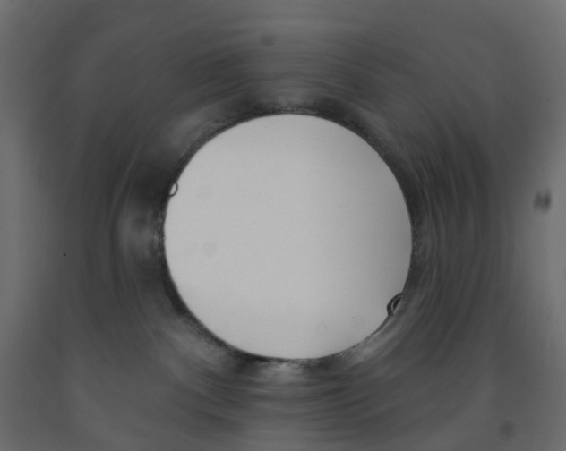 X0000091990140200710041137