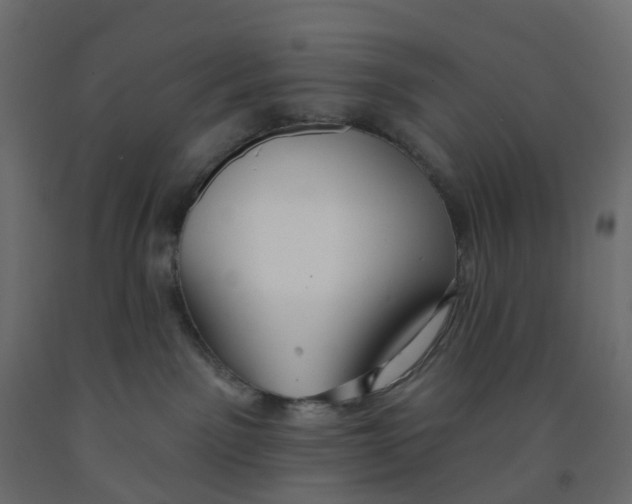 X0000091990141200710041137