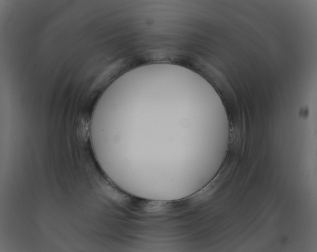 X0000091990142200710041137