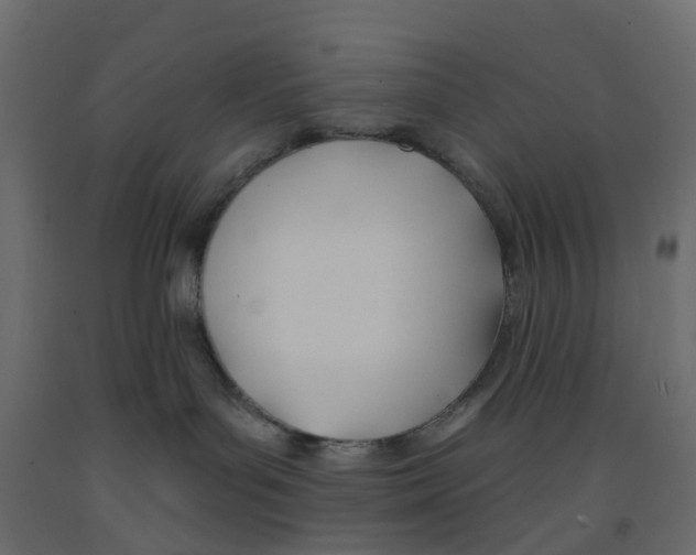 X0000091990143200710041137