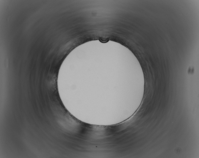 X0000091990144200710041137