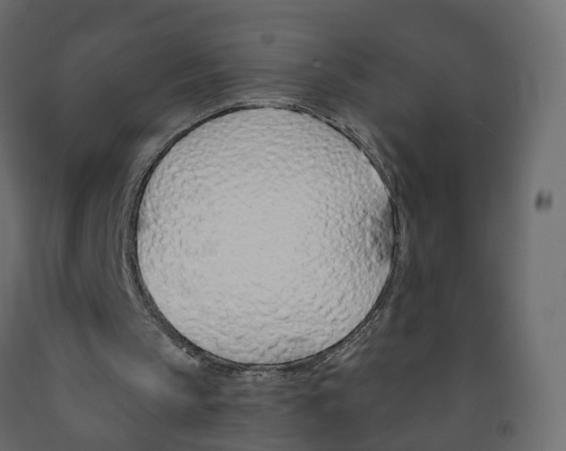 X0000091990145200710041136