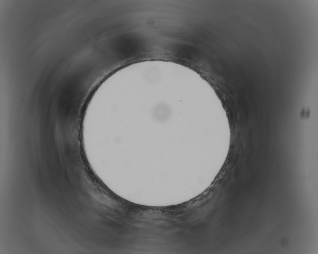 X0000091990146200710041136