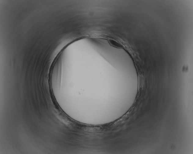 X0000091990147200710041136