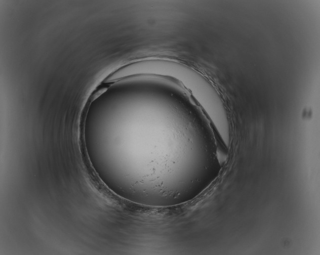 X0000091990148200710041136