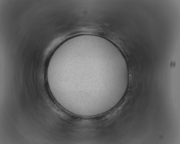 X0000091990149200710041136