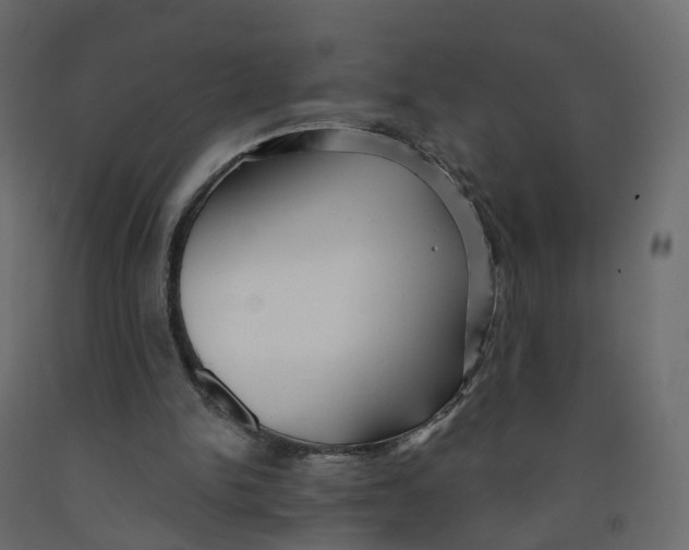 X0000091990150200710041136