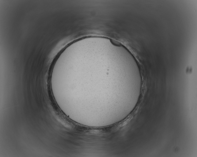 X0000091990151200710041136