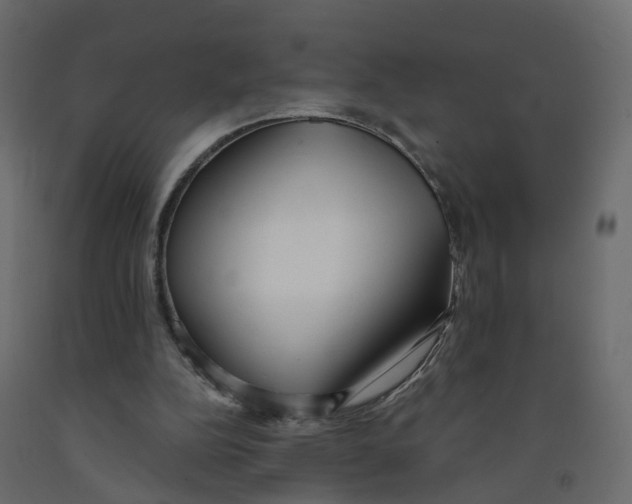 X0000091990152200710041136