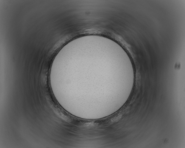 X0000091990153200710041137
