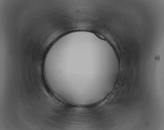 X0000091990154200710041137