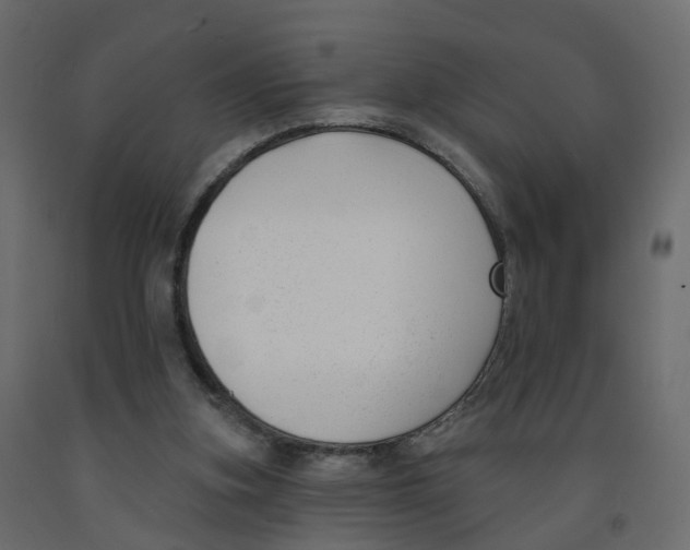 X0000091990155200710041137