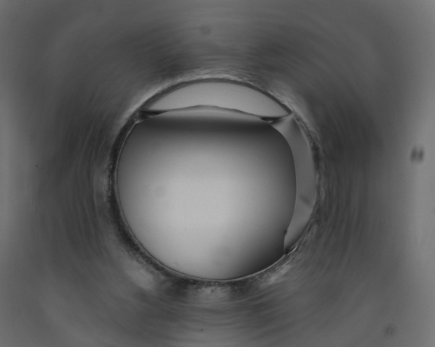 X0000091990156200710041137