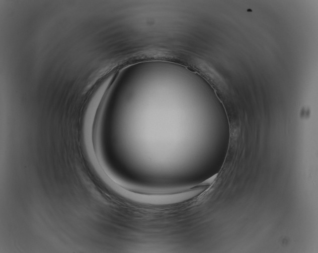 X0000091990158200710041137